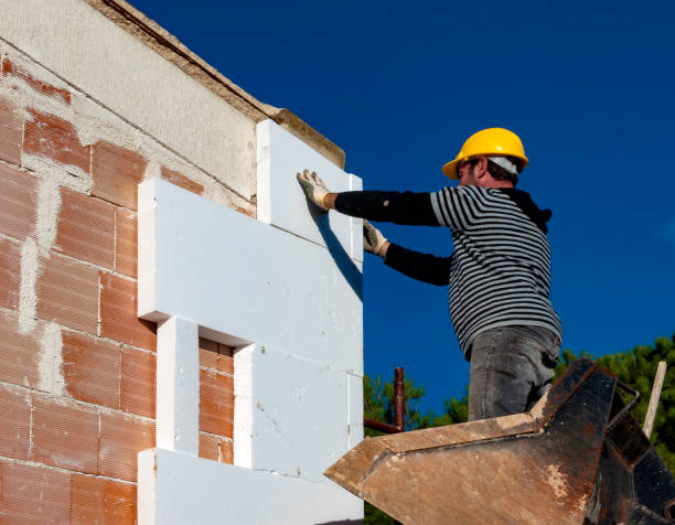 Best Insulation Installation Services in Bellevue, IL