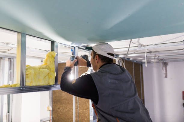 Best Residential Insulation in Bellevue, IL