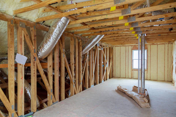 Best Insulation Maintenance and Repair in Bellevue, IL