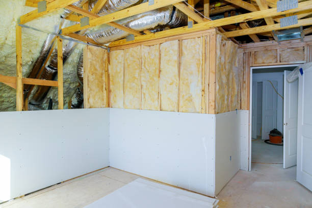 Best Commercial Insulation in Bellevue, IL