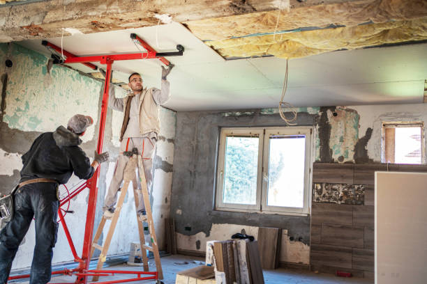 Best Specialty Insulation in Bellevue, IL
